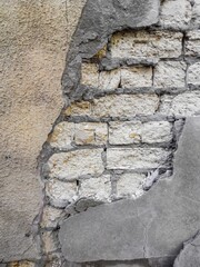 The plastered wall is beige in places. White brickwork is visible through the crumbling plaster. The contours resemble an elephant's head with a trunk