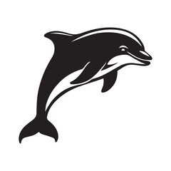 dolphin isolated on white