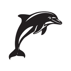 dolphin isolated on white background