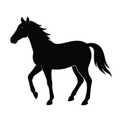 horse silhouette stock vectors vector art