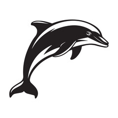 dolphin isolated on white