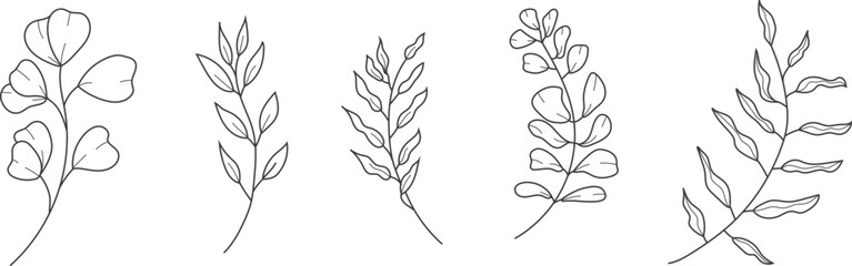 Hand drawn botanical line art illustration of eucalyptus branches and herbs. Minimalist vector floral clipart set for natural, elegant, and decorative design projects.