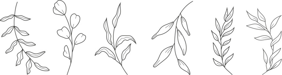 Hand drawn botanical line art illustration of eucalyptus branches and herbs. Minimalist vector floral clipart set for natural, elegant, and decorative design projects. © passionart