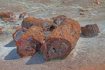Large Petrified Logs in the Badlands