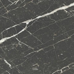 Obraz premium Dark Gray Marble Texture with White Veins