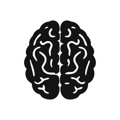 Human Brain Cognitive Functions Mental Processes and Neurological System