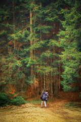 Obraz premium A family walks along a scenic forest trail blanketed with vibrant autumn leaves. Surrounded by tall trees and warm colors, they enjoy a peaceful day in nature, sharing laughter, exploration.