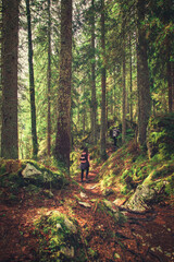 A family walks along a scenic forest trail blanketed with vibrant autumn leaves. Surrounded by tall trees and warm colors, they enjoy a peaceful day in nature, sharing laughter, exploration.