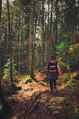 Fototapeta premium Teenage girl walking alone on a beautiful forest trail in autumn, enjoying the peaceful atmosphere and colorful fallen leaves all around.