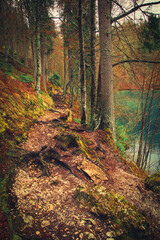 Obraz premium A stunning blue lake lies quietly in the middle of a dense forest. The calm water perfectly reflects the vibrant autumn trees and the clear sky. The untouched landscape radiates peace and beauty.