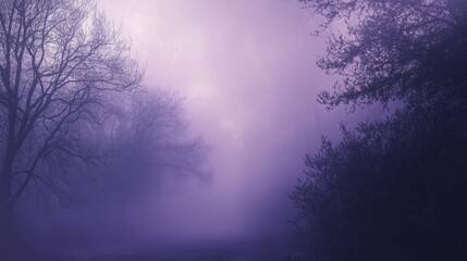 Fototapeta premium Lavender and Dark Purple Foggy Background with Smoke and Soft Lighting