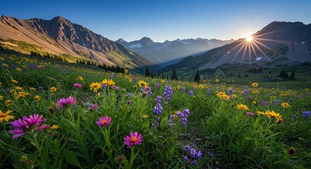 Mountain landscape with wildflowers in foreground and sunburst shining through peaks.
