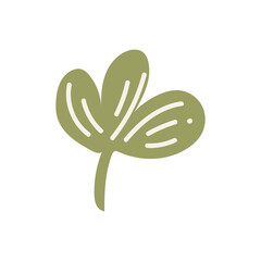 Green basil herb in flat design. Organic scented plant for condiment. Vector illustration isolated.