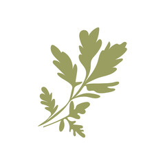 Green parsley herb in flat design. Organic scented plant for condiment. Vector illustration isolated.