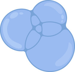 Group of blue soap bubbles with diverse sizes, connected with overlapping reflections.