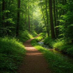 Naklejka premium Sunlit Forest Path With Creek