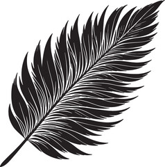 Obraz premium Silhouette feather Artistic Design