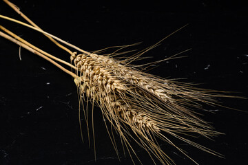 Wheat detail. Cereals for bakery, flour production