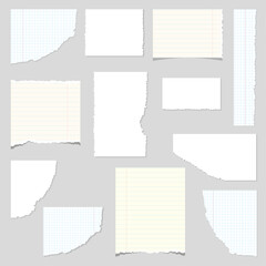 Various torn paper pieces on gray background