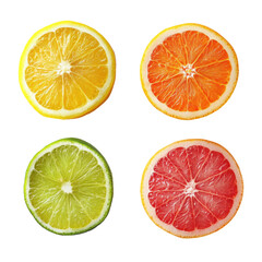 Set of citrus fruits slices showing orange, grapefruit, lemon and lime on transparent background