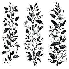 Fototapeta premium Border Elements for plants Design. Hand drawn Monochrome Vine Flowers Illustration. Vines Blossom Flower Silhouette Decoration. Elegant Hibiscus stems Floral Black and White Botanical drawing. 