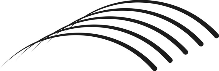 Multiple curved lines flowing in smooth arcs, creating a sense of fluidity.