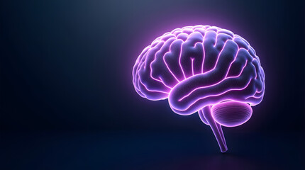 A striking, illuminated 3D rendering of a human brain, showcasing intricate details against a dark background.