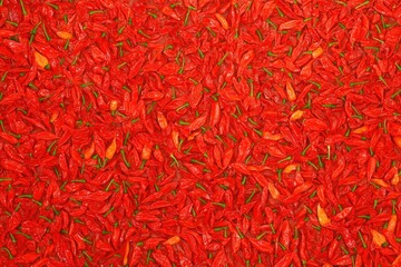 Fototapeta premium A vibrant, dense collection of red chili peppers, showcasing their rich color and texture.