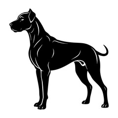 black dog isolated on white background