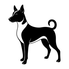 black and white dog