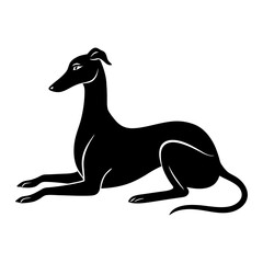 Happy Playful Afghan Hound Dog Illustration in black and white
