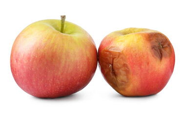 Rotten and fresh apples isolated on white