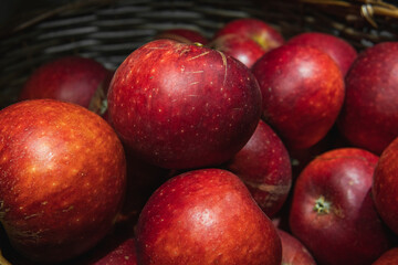 Close up image of freshly picked red apples.