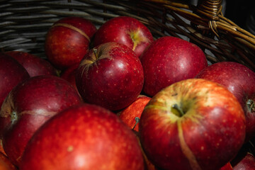 Delicious red apples in a basket. Autumn harvest on the Swedish countryside. 