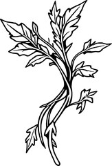 Naklejka premium Elegant Line Drawing Of A Sprig Of Leafy Greens