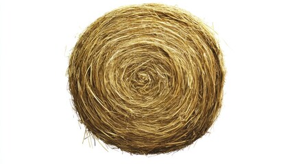 Round bale of straw.  Close-up view of tightly packed hay