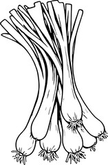 Fresh Green Onions Bunch Culinary Vegetable Illustration