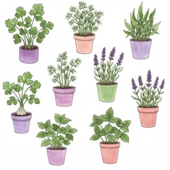 Fototapeta premium Colorful Potted Herbs Illustration