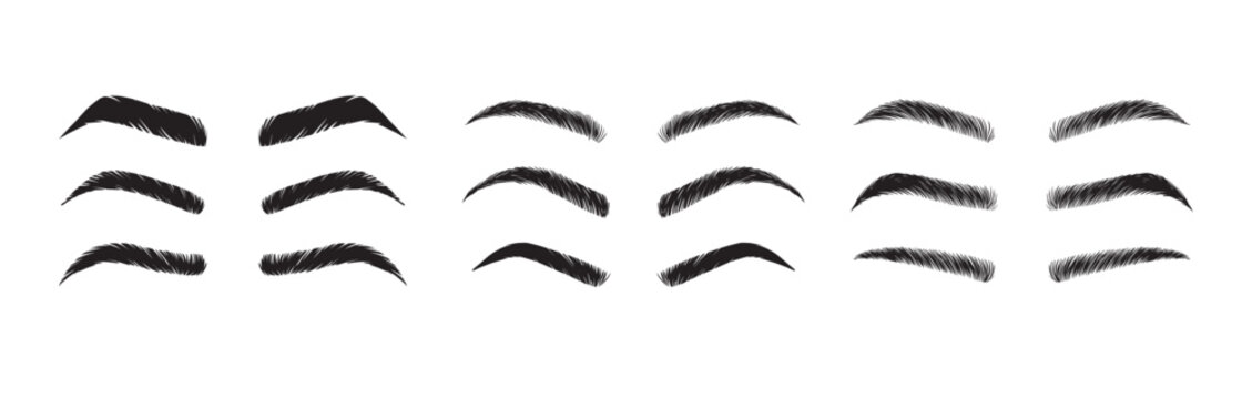 Isolated Eyebrows set Cartoon. Eyebrow makeup template. Classic brow makeup shaping vector set. Various eyebrows types. shapes, thin, thick, curved eyebrows set. 