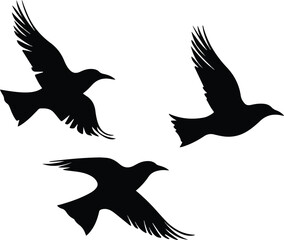 Obraz premium Hawk Diving for Prey – Precision in Action Silhouette