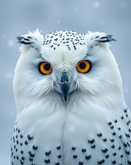 Naklejka premium Snowy owl with intense golden eyes, snowy storm haze behind, elegant close-up portrait in soft cinematic 48K realism, detailed and full of silent strength.
