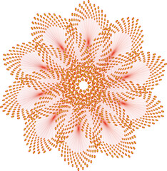 vector illustration of a flower