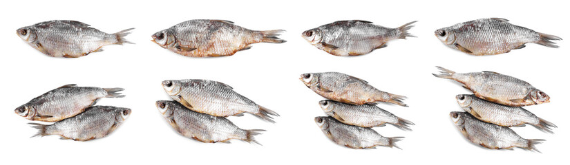 Dried roach fish isolated on white, set. Top view