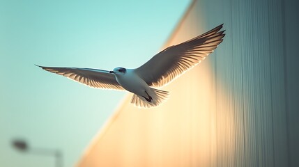 Fototapeta premium Blue bird flight wings light high resolution hd photo