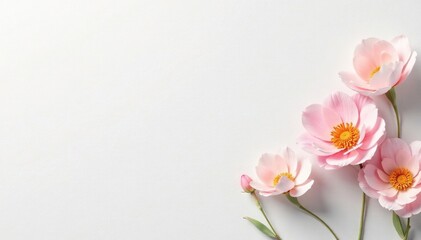 Fototapeta premium Crisp white background, highlighting textures, design, skincare