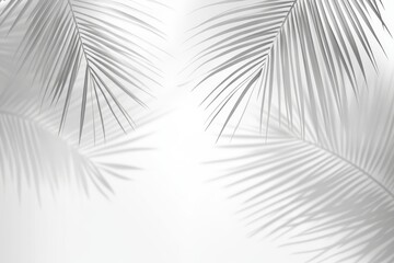 Obraz premium Palm leaf shadows cast on a white background, creating a minimalist and tropical aesthetic