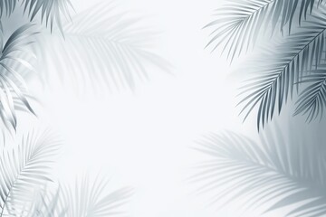 Silhouette of palm leaves on a white background