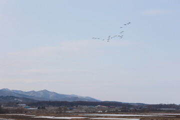 4月初頭のある夕方に通りかかった畑作地帯の何気ない景観　浦臼町