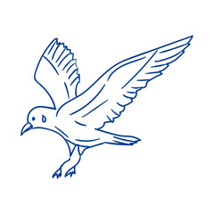 Bird in flight gracefully soaring through an open blue sky with a hint of clouds