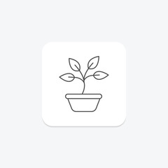 Sprouting Basil, vector, pixel perfect, illustrator file